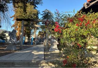 古町豊受大神宮の参拝記録(竜胆の花さん)