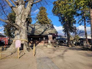 白鳥神社の参拝記録(まっきーさん)