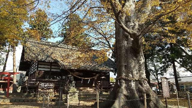 白鳥神社の参拝記録3