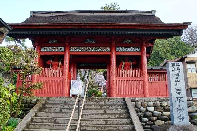 龍本山 松井田院 不動寺(松井田不動尊)の参拝記録2