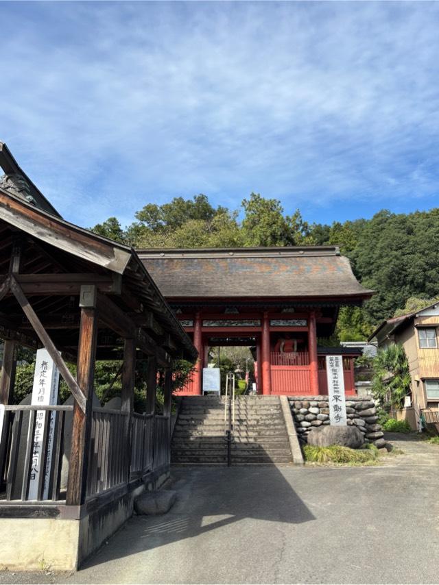龍本山 松井田院 不動寺(松井田不動尊)の参拝記録2