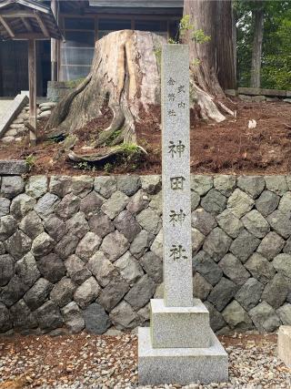 神田神社の参拝記録(爛漫天神さん)