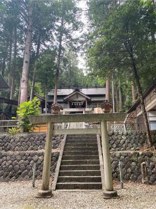 神田神社の参拝記録(爛漫天神さん)