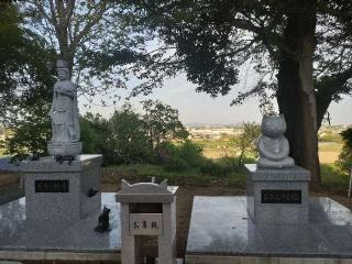 万徳寺の参拝記録(🌈かな⛩️さん)