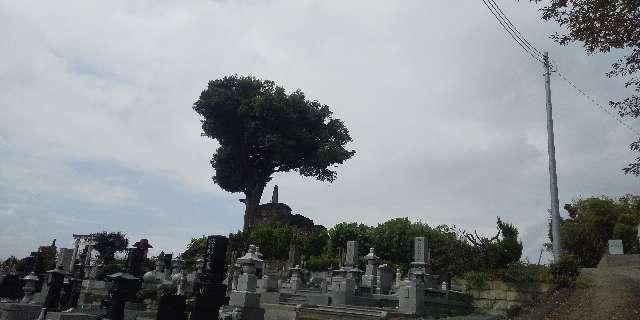 万徳寺の参拝記録3