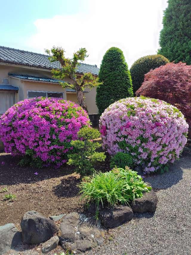 能満寺の参拝記録1