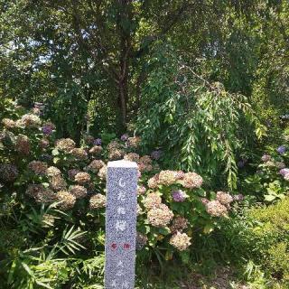 上榮山 文明院 妙見寺の参拝記録(しろぎすさん)