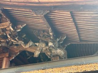 手力雄神社の参拝記録(まろんさん)