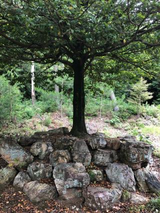 苧ｹ瀬神社の参拝記録(つくねさん)