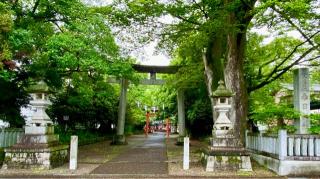 春日神社の参拝記録(二代目無宿さん)