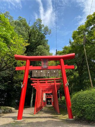 貴船神社の参拝記録(お雪さん)