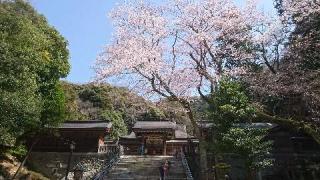 伊奈波神社の参拝記録(yukiさん)