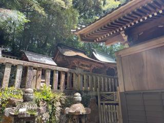 八幡神社の参拝記録(ネコタヒコのミコトさん)
