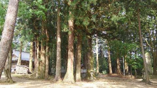 荒城神社の参拝記録7
