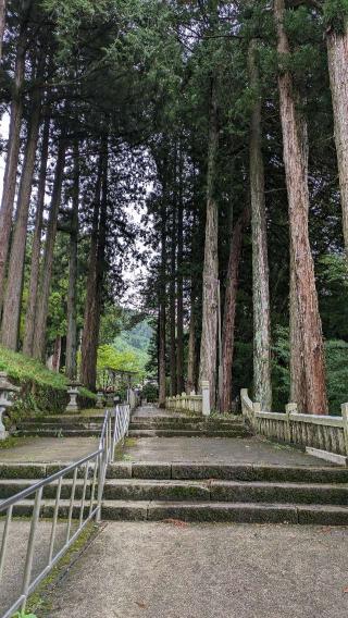 気多若宮神社の参拝記録(MAXさん)