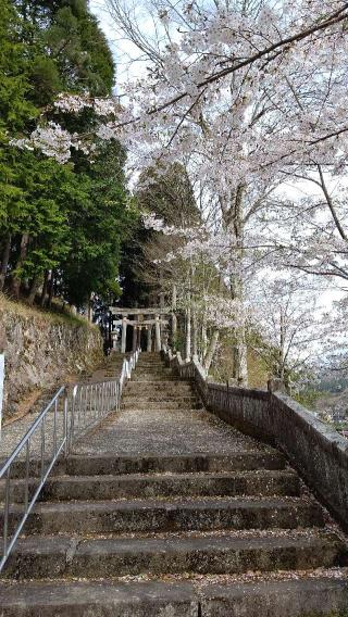 気多若宮神社の参拝記録(のとゆささん)