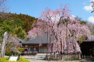 弘誓山 長楽寺の参拝記録(thonglor17さん)