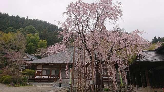 弘誓山 長楽寺の参拝記録8