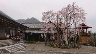 弘誓山 長楽寺の参拝記録(まっきーさん)