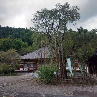 弘誓山 長楽寺の参拝記録(しろぎすさん)