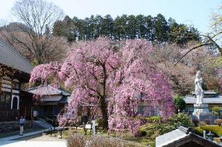 鷲鴒山 宝積寺の参拝記録(thonglor17さん)