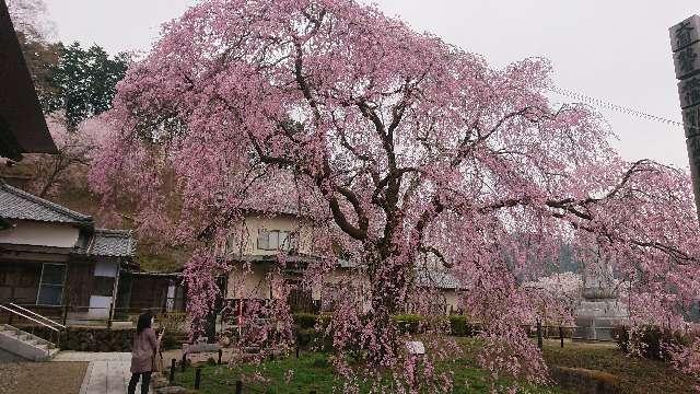 群馬県甘楽郡甘楽町大字轟774 鷲鴒山 宝積寺の写真3