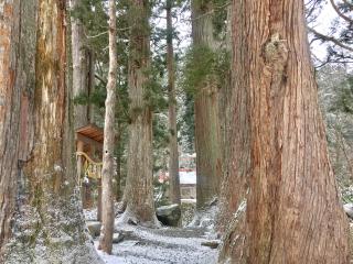 白山中居神社の参拝記録(じゃすてぃさん)