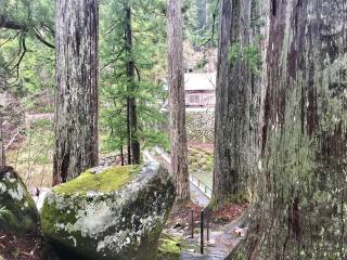 白山中居神社の参拝記録(じゃすてぃさん)