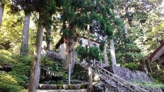 白山中居神社の参拝記録(ゆんさん)