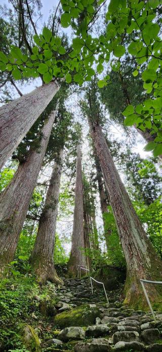 白山中居神社の参拝記録(まぁちゃんさん)
