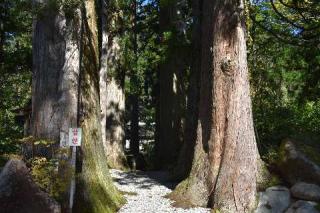 白山中居神社の参拝記録(masaさん)