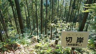 天神神社の参拝記録(yukiさん)