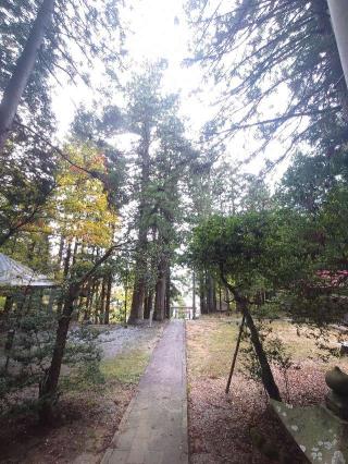 神明神社の参拝記録(MAXさん)