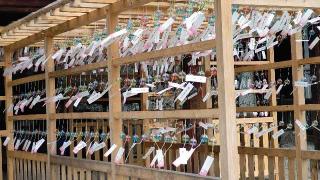 櫻山八幡宮の参拝記録(miyumikoさん)