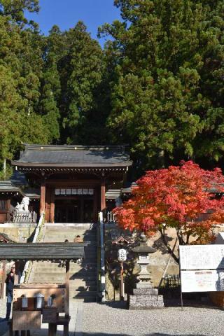 櫻山八幡宮の参拝記録(masaさん)