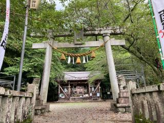 天鷹神社の参拝記録(礼さん)