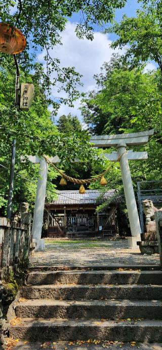 天鷹神社の参拝記録(まぁちゃんさん)