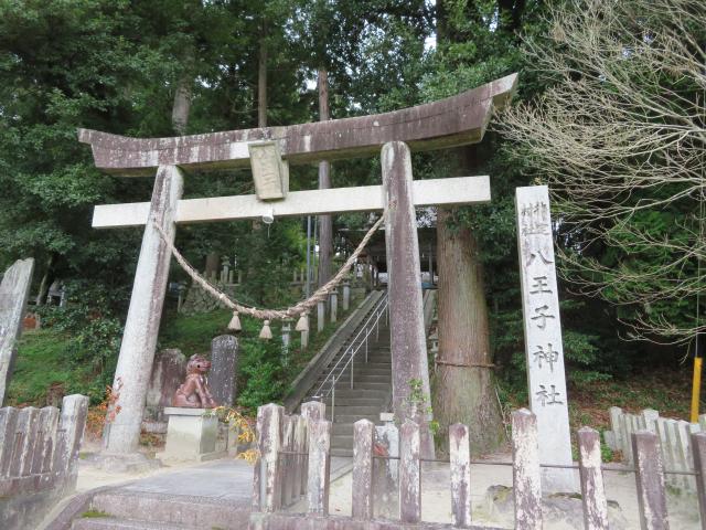 八王子神社の写真1