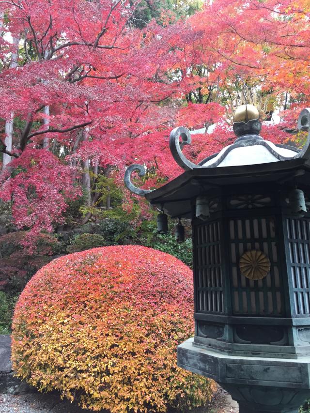 萬松山 崇禅寺の参拝記録7