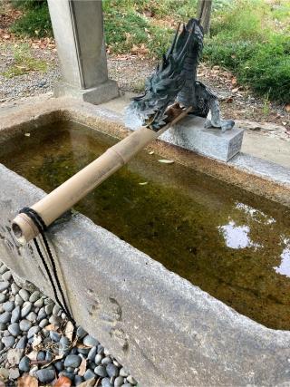 常葉神社の参拝記録(恭子さん)