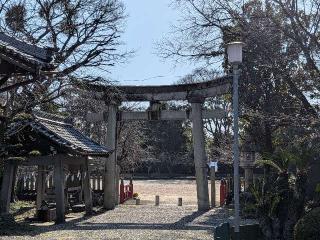 常葉神社の参拝記録(恭子さん)