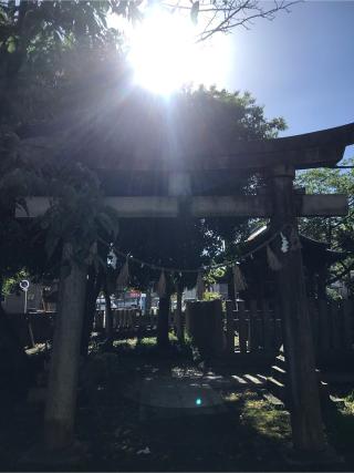稲荷神社の参拝記録(kohさん)