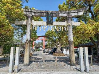 大垣八幡神社の参拝記録(銀玉鉄砲さん)