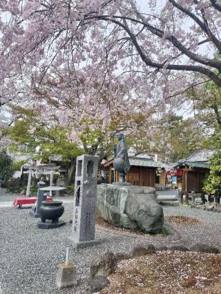 諏訪山 観音院 能満寺(日限地蔵尊）の参拝記録(さとみさん)