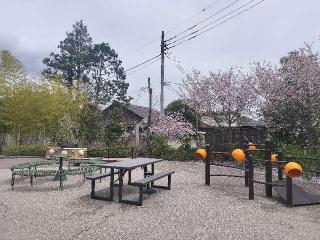 諏訪山 観音院 能満寺(日限地蔵尊）の参拝記録(さとみさん)