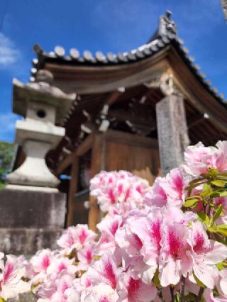 諏訪山 観音院 能満寺(日限地蔵尊）の参拝記録(たけちゃん⚾さん)