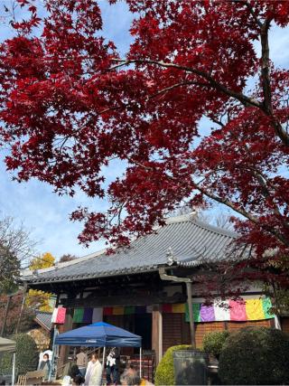 諏訪山 観音院 能満寺(日限地蔵尊）の参拝記録(ほーリンさん)