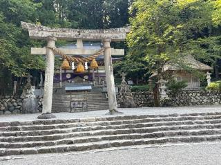 白川八幡神社の参拝記録(コットンさん)