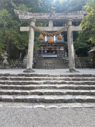 白川八幡神社の参拝記録(かまちゃんさん)