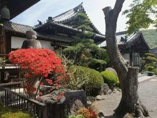天善山 日輪寺 大蔵院の参拝記録(🌈かな⛩️さん)